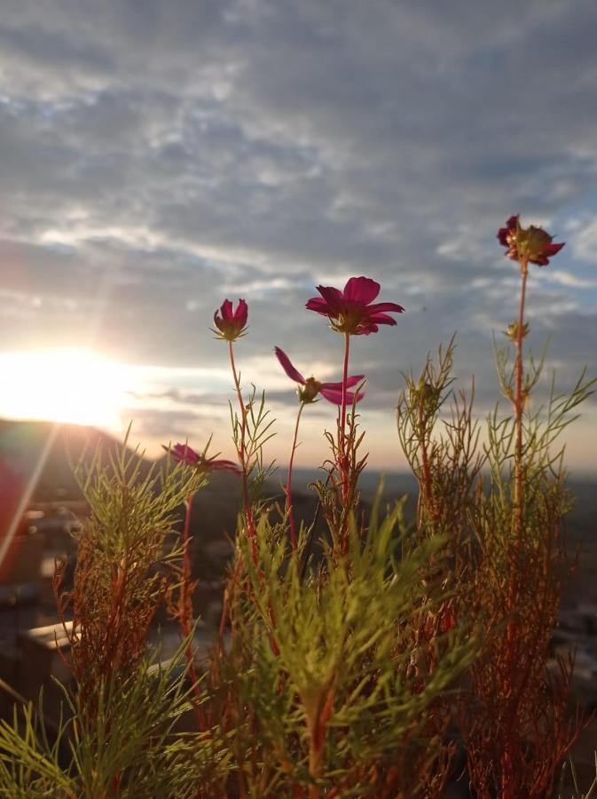 Merdin Boutique Hotel Mardin Zewnętrze zdjęcie